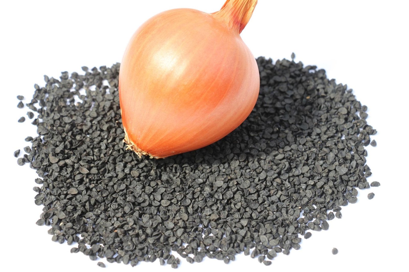 Real Black Onion Seeds